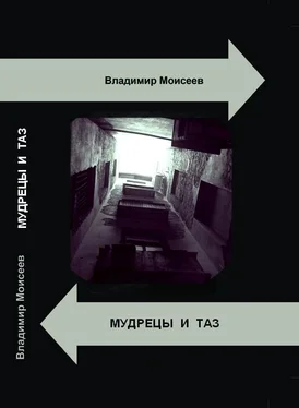 Владимир Моисеев Мудрецы и таз [СИ] обложка книги