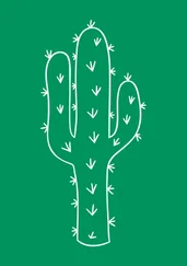 Дарья Андриянова - Девятка