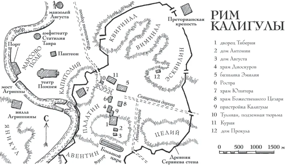 Сначала сверкание вспышек Ослепительные выжигающие глаз сполохи красного и - фото 3