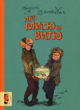 Андрей Шманкевич Про Митю и Витю обложка книги