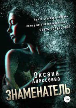 Оксана Алексеева Знаменатель обложка книги