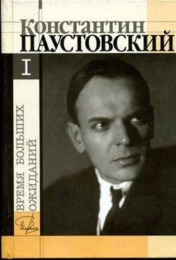 Константин Паустовский Время больших ожиданий обложка книги