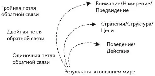 Рис 11Одиночная двойная и тройная петли обратной связи в рамках сознания - фото 1