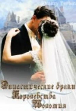 Дмитрий Цыбин Династические браки королевства Шоломия обложка книги