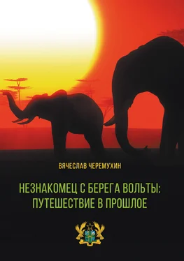 Вячеслав Черемухин Незнакомец с берега Вольты: путешествие в прошлое обложка книги