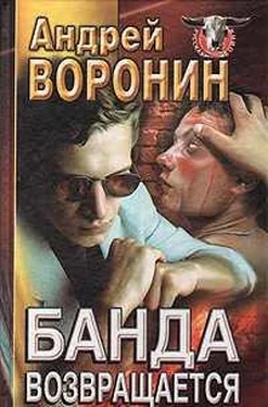 Андрей Воронин Банда возвращается обложка книги