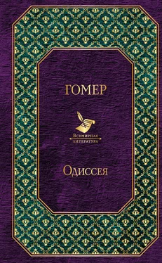 Гомер Одиссея [litres] обложка книги