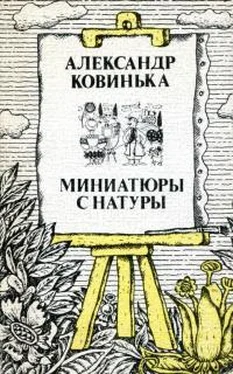 Александр Ковинька Миниатюры с натуры обложка книги