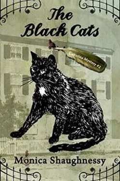 Моника Шонесси The Black Cats обложка книги