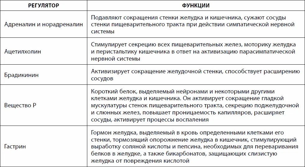 Кишечник долгожителя 7 принципов диеты замедляющей старение - фото 1