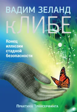 Вадим Зеланд кЛИБЕ. Конец иллюзии стадной безопасности [litres] обложка книги