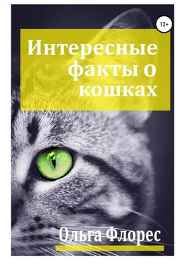 Ольга Флорес Удивительные факты о кошках обложка книги