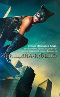 Элизабет Хэнд Женщина-кошка обложка книги