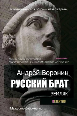 Андрей Воронин Русский брат. Земляк обложка книги