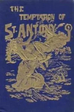 Гюстав Флобер The Temptation of St. Antony обложка книги