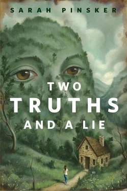 Сара Пинскер Two Truths and a Lie обложка книги