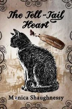 Моника Шонесси The Tell-Tail Heart обложка книги