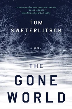 Том Светерлич The Gone World обложка книги