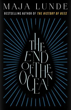 Майя Лунде The End of the Ocean обложка книги