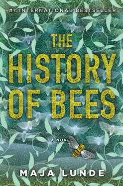 Майя Лунде The History of Bees обложка книги