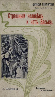 Людмила Шелгунова Страшный человек и кот Васька [Рассказы] обложка книги