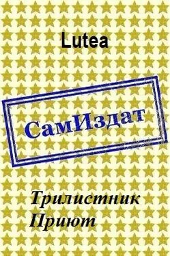 Lutea Трилистник. Приют [СИ] обложка книги