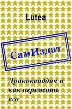 Lutea Дракоквиддич и как пережить его [СИ] обложка книги