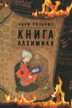 Адам Уильямс Книга алхимика [Роман] обложка книги