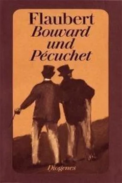 Гюстав Флобер Bouvard and Pécuchet обложка книги