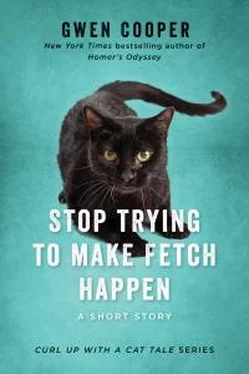 Гвен Купер Stop Trying To Make Fetch Happen обложка книги