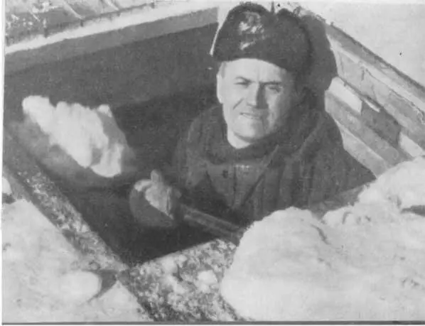 Тюлени уэдделла Капские голуби Серебристосерый буревестник - фото 42