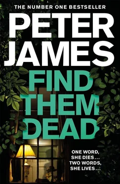 Питер Джеймс Find Them Dead обложка книги