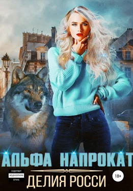 Делия Росси Альфа напрокат [publisher: SelfPub] обложка книги