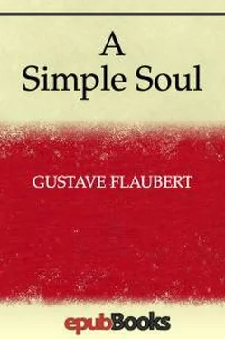 Гюстав Флобер A Simple Soul обложка книги