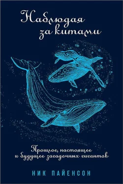 Ник Пайенсон Наблюдая за китами [Прошлое, настоящее и будущее загадочных гигантов] обложка книги