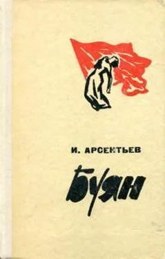 Иван Арсентьев Буян обложка книги