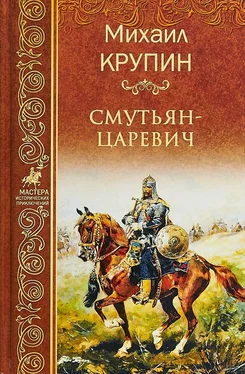 Михаил Крупин Смутьян-царевич обложка книги