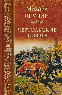 Михаил Крупин Чертольские ворота обложка книги