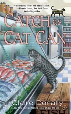 Клэр Донелли Catch As Cat Can обложка книги