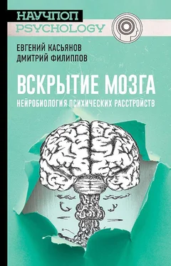 Дмитрий Филиппов Вскрытие мозга [Нейробиология психических расстройств] обложка книги