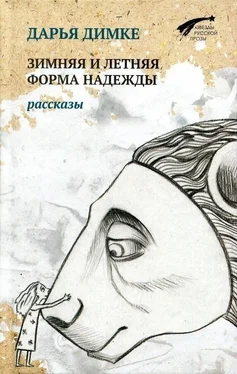 Дарья Димке Зимняя и летняя форма надежды обложка книги