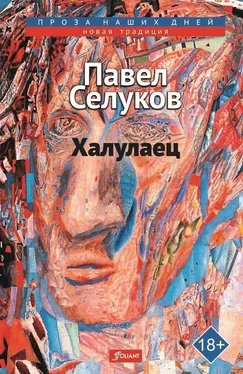 Павел Селуков Халулаец обложка книги