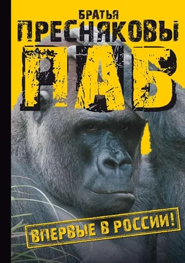 Владимир Пресняков Паб обложка книги