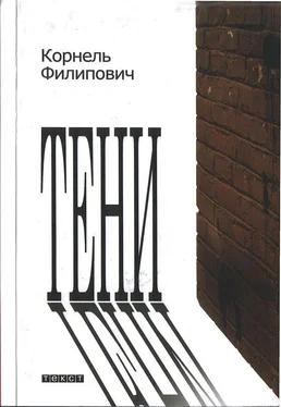 Корнель Филипович Тени обложка книги