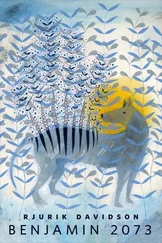 Рьюрик Дэвидсон - Benjamin 2073