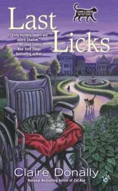 Клэр Донелли Last Licks обложка книги