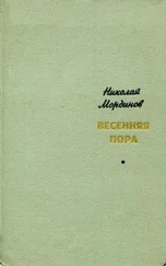 Николай Мординов - Весенняя пора