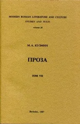 Михаил Кузмин - Антракт в овраге. Девственный Виктор