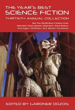 Элинор Арнасон The Year's Best Science Fiction: Thirtieth Annual Collection обложка книги