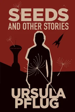 Ursula Pflug Seeds and Other Stories обложка книги